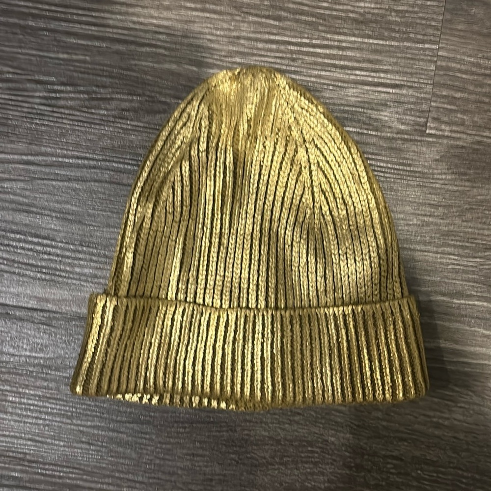 NWOT Zara Gold rib hat